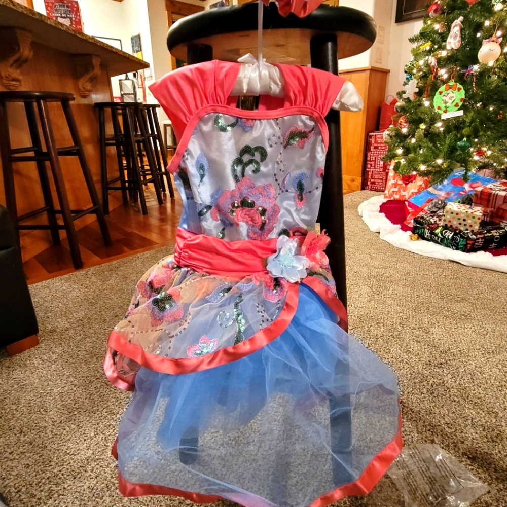 Ballet costume